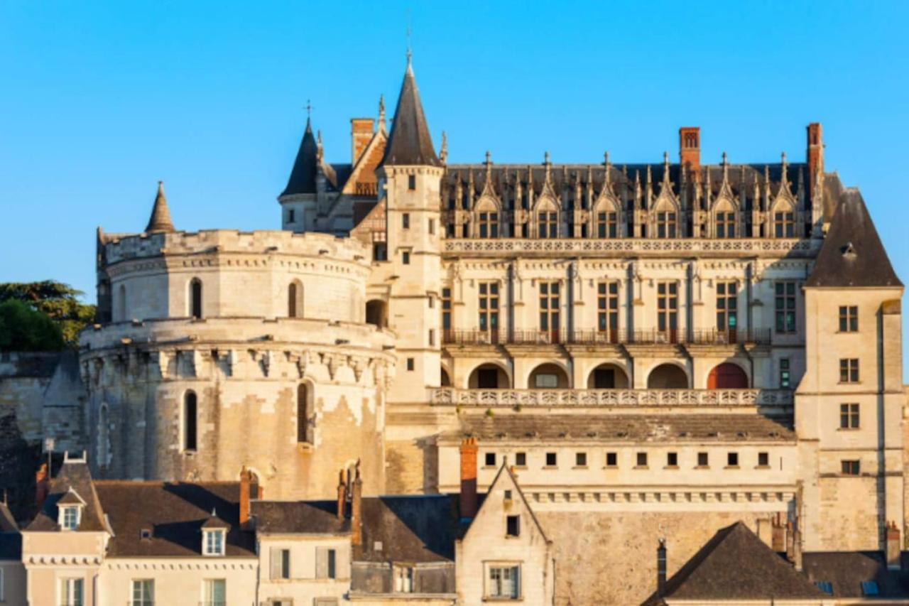 Da Vinci - Charmant Et Relax Amboise Ngoại thất bức ảnh